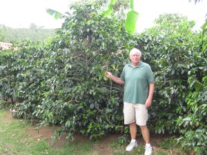 Ray standing near one of the taller coffee plants.