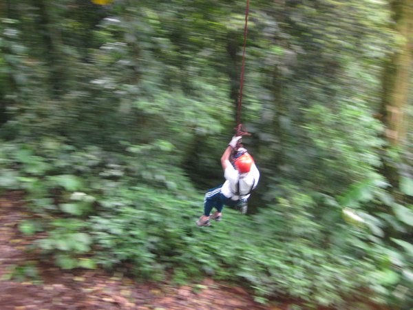Swinging thru the jungle.