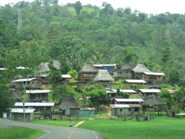 Thatched roof village on the way to the Caribbean coast.