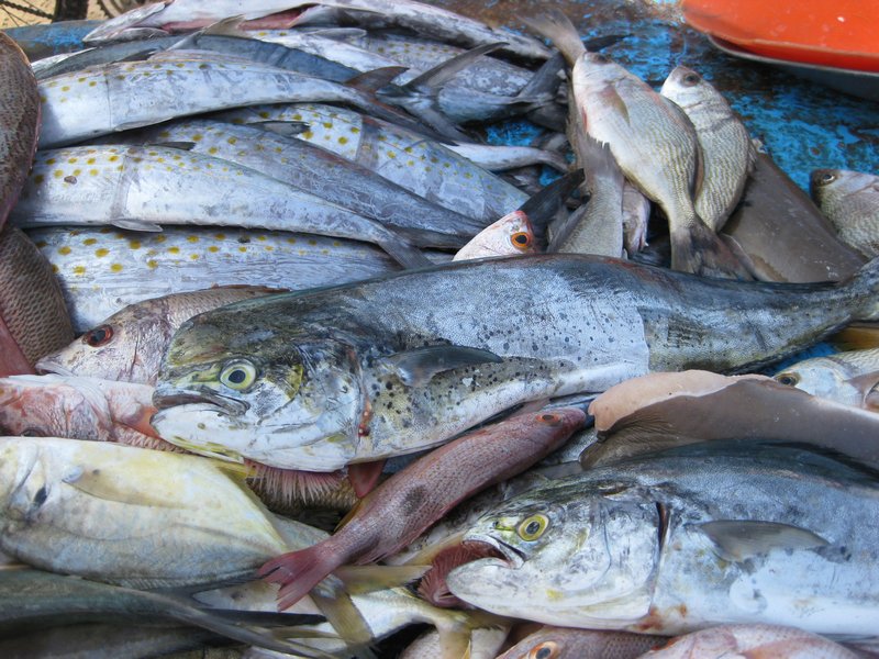 Selling fish right on the beach.  Michelle bought some excellent martlin.