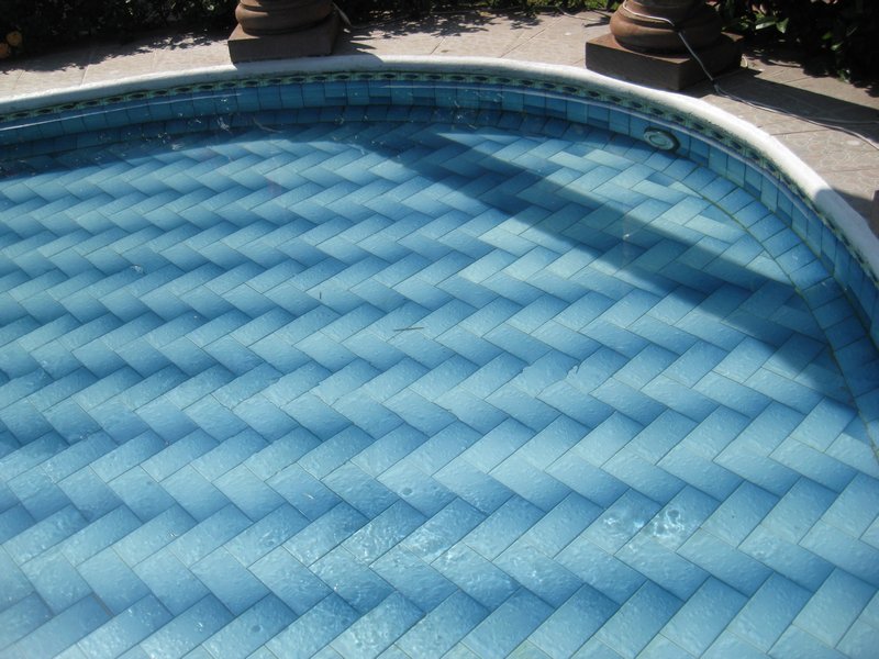 Notice the lovely pool tile work.  I want my pool tiles like this