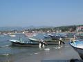 Fishing fleet.  These boats are called pangas.