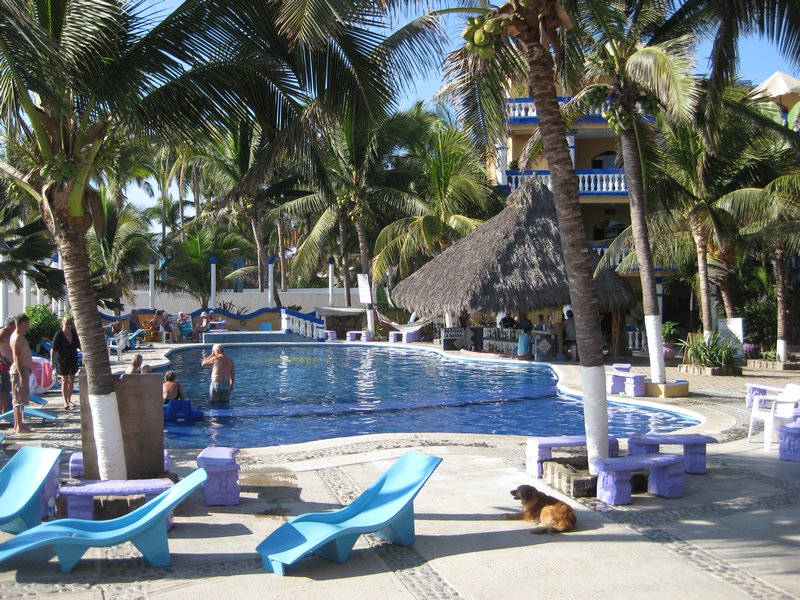 Pool at Laguna del Tule.