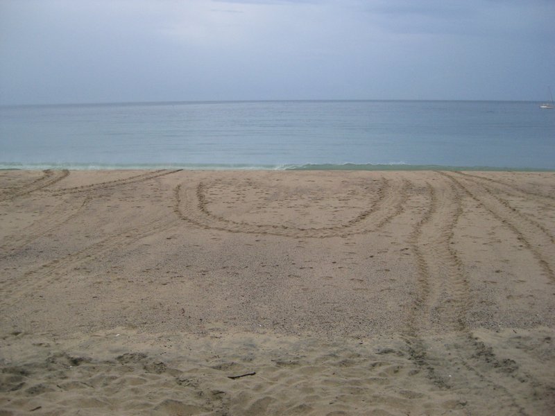Here you can see where one mama turtle changed her mind about laying eggs, made a U-turn and returned to the sea.