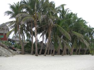 Paradise is thatched cottages, palm trees and clean untrampled white sand.