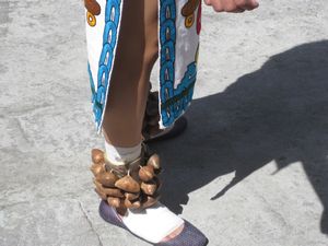 All of the dancers wore these shells on their ankles.  They make a clicking sound.