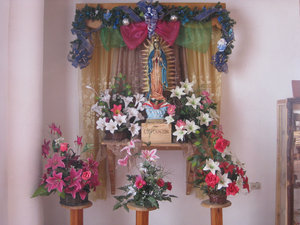 Small altars to the Blessed Virgin are a common sight.  This one was in Mazamitla's meat and produce market.