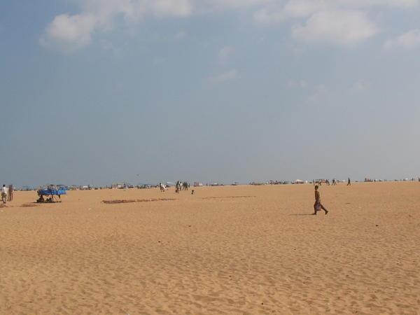 Chennai -Jan 30 -  Marina Beach 