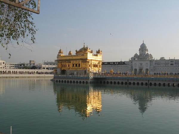 Golden Temple  - Amritsar - Feb. 24