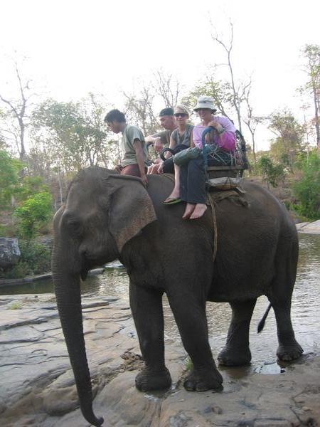 Elephant riding in Tadlo