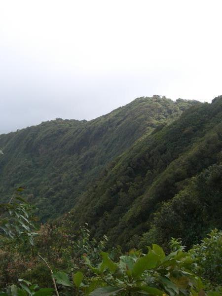 The Continental divide, Monteverde