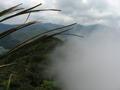 Hiking up in the clouds, El Valle de Anton