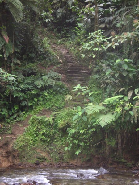 The first of the thousands of stairs up to the Lost City