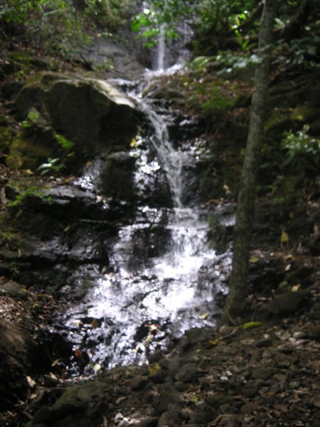 Mid trail waterfall...