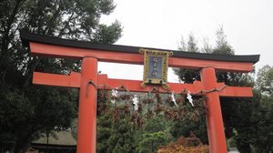 Torii at Matsunoo Grand Shrine