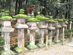 Kasuga Shrine is lined by endless lanterns