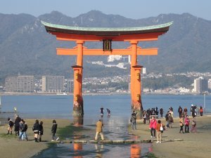 People gather round the Torii