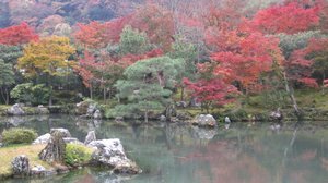 Gardens at Tenryuji