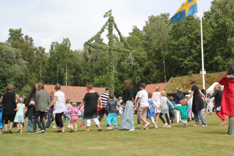 Silly songs are sung as the crowd dances around the midsommarstång.