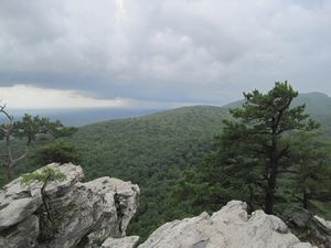 View from Hanging Rock