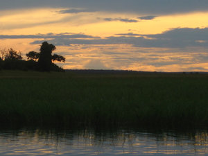 Chobe sunset