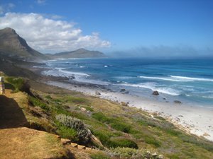 Along the Cape Point drive