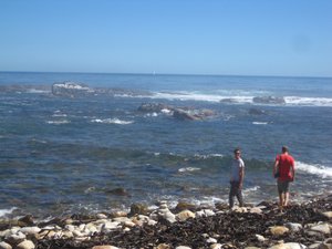 This is at the Cape of Good Hope within the Cape Point National Park