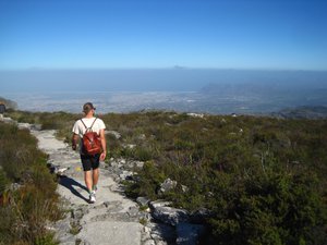We did the short hike across Table Mountain to get all the views on offer
