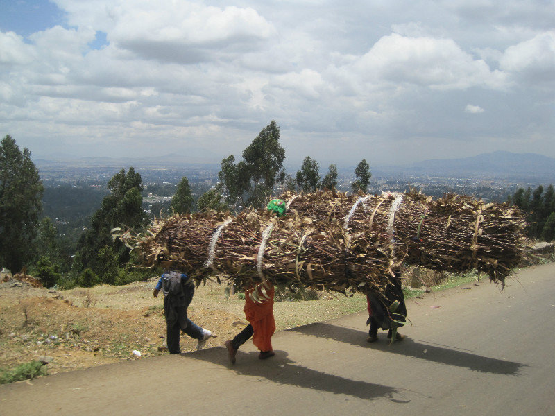 These women carry down small branches from the eucalyptus forests at the top of En Toto to sell them for fuel.  This is backbreaking work as these loads are very heavy and the road is very steep for a meager living.   