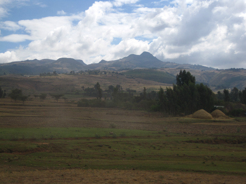 Menagesha with tiff farms in the foreground