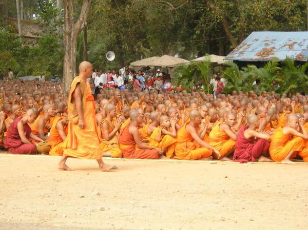 Lots of monks!