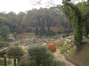 Doi Tung Royal Gardens