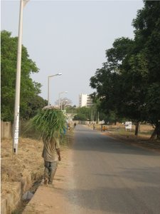 The Road, Hostel to Hospital