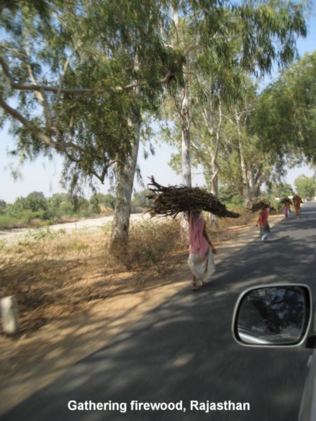Road to Jodhpur