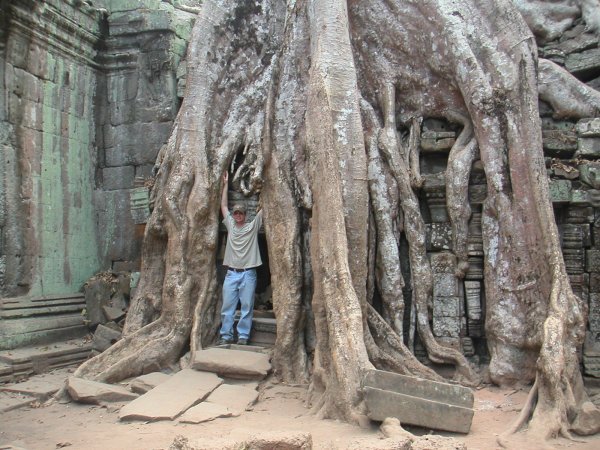 Massive roots