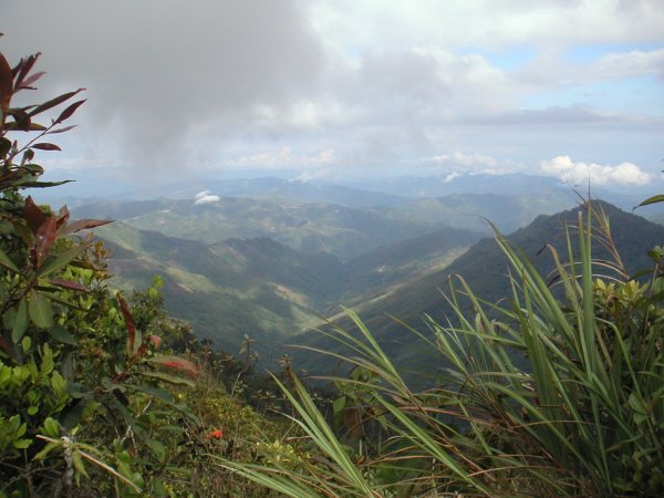 View near Ranau - central Sabah