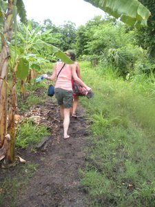Banana plantation hike