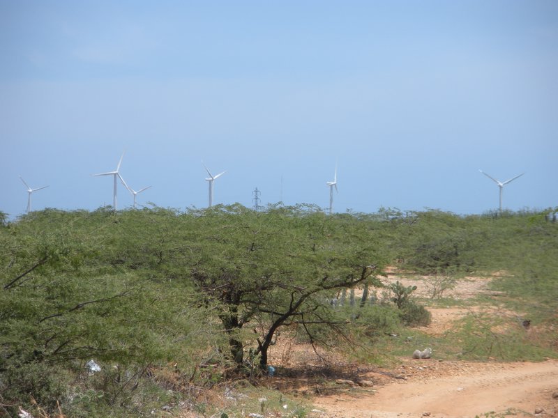 Landscape of La Guajira