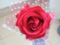 My Red Rose. ^_^