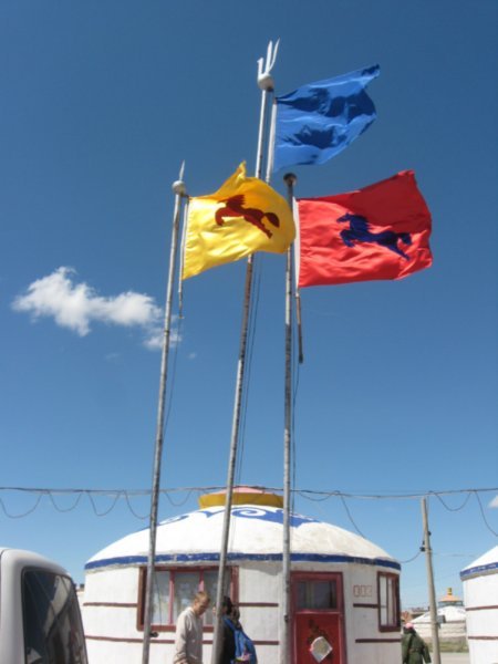 Beautiful flags at the grasslands.