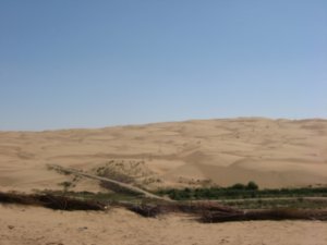 First sight of the desert