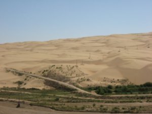 More desert