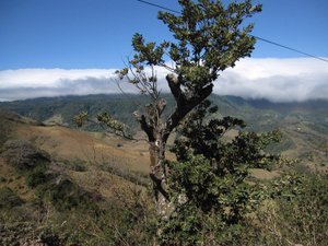 gorgeous valleys leaving monteverde