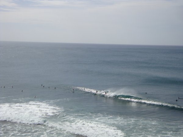 Surfers Bell's Beach