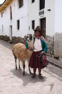 Quechua woman and alpaca