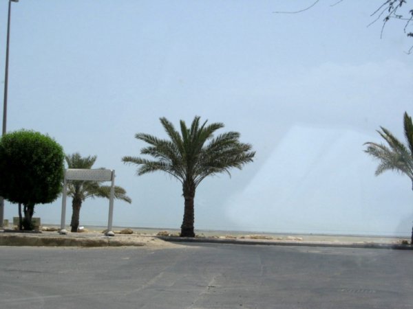 The Arabian Gulf at Tarut