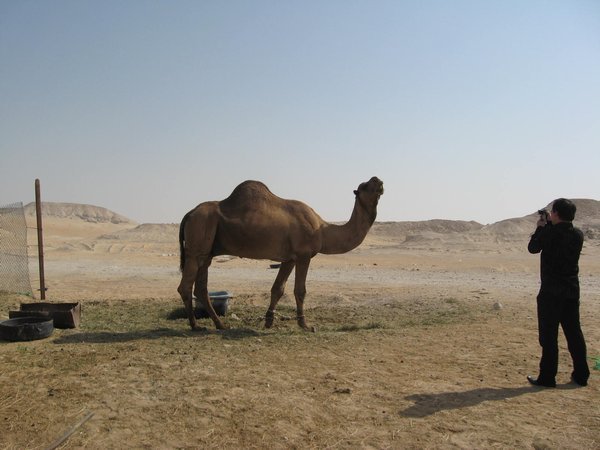 Peng checks out the camel.