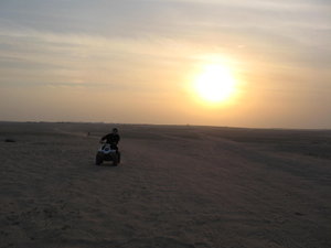 The Desert Sunset