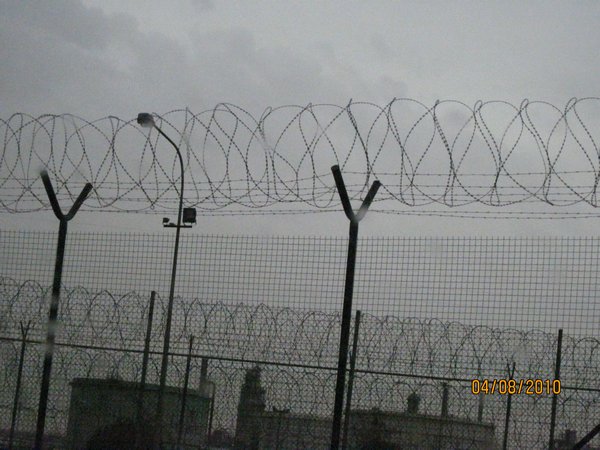 Serious barbed wire