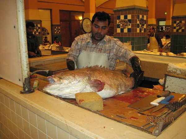 A REALLY big fish
